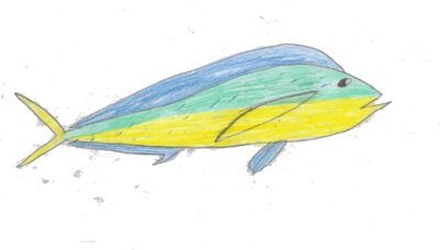Dorado